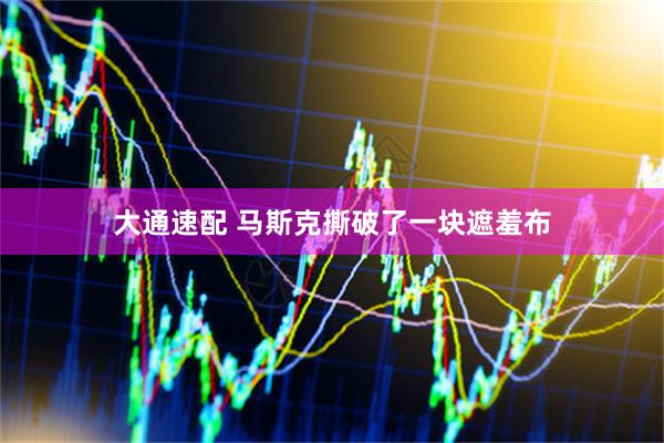 大通速配 马斯克撕破了一块遮羞布
