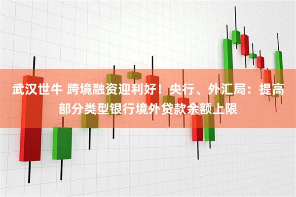 武汉世牛 跨境融资迎利好！央行、外汇局：提高部分类型银行境外贷款余额上限
